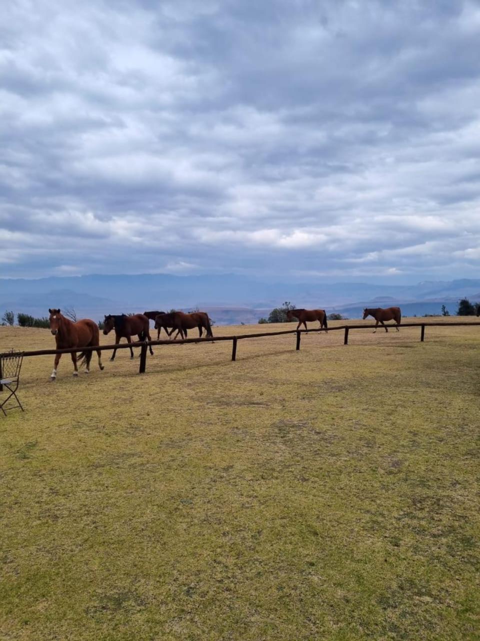 Drakensberg Mountain Retreat Pensionat Bergville Eksteriør billede